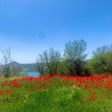 Casa Rural Miravella カストリル エクステリア 写真