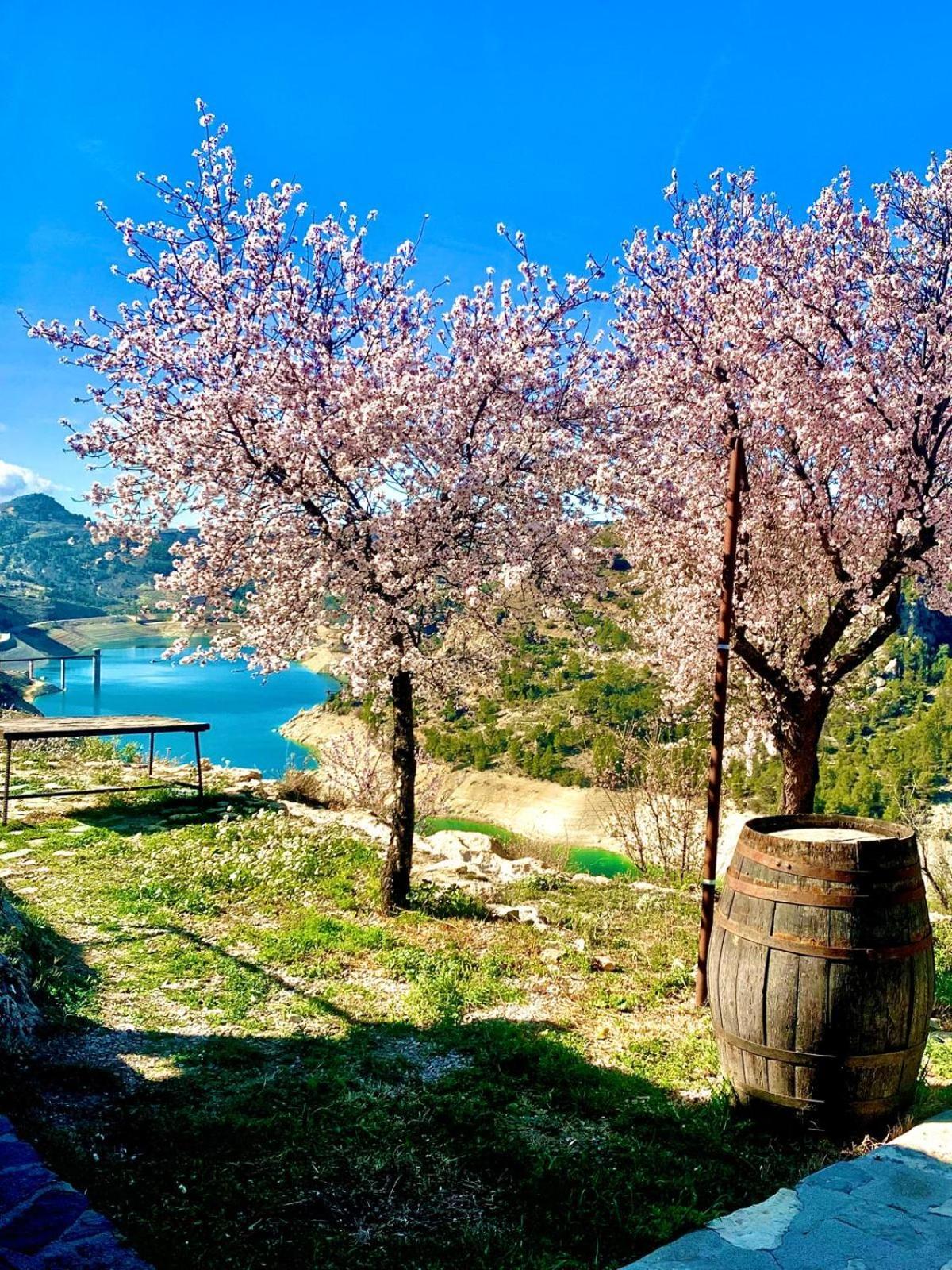 Casa Rural Miravella カストリル エクステリア 写真
